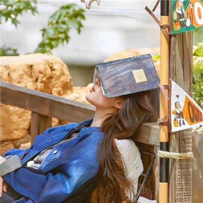 双侠勇擒胭脂虎