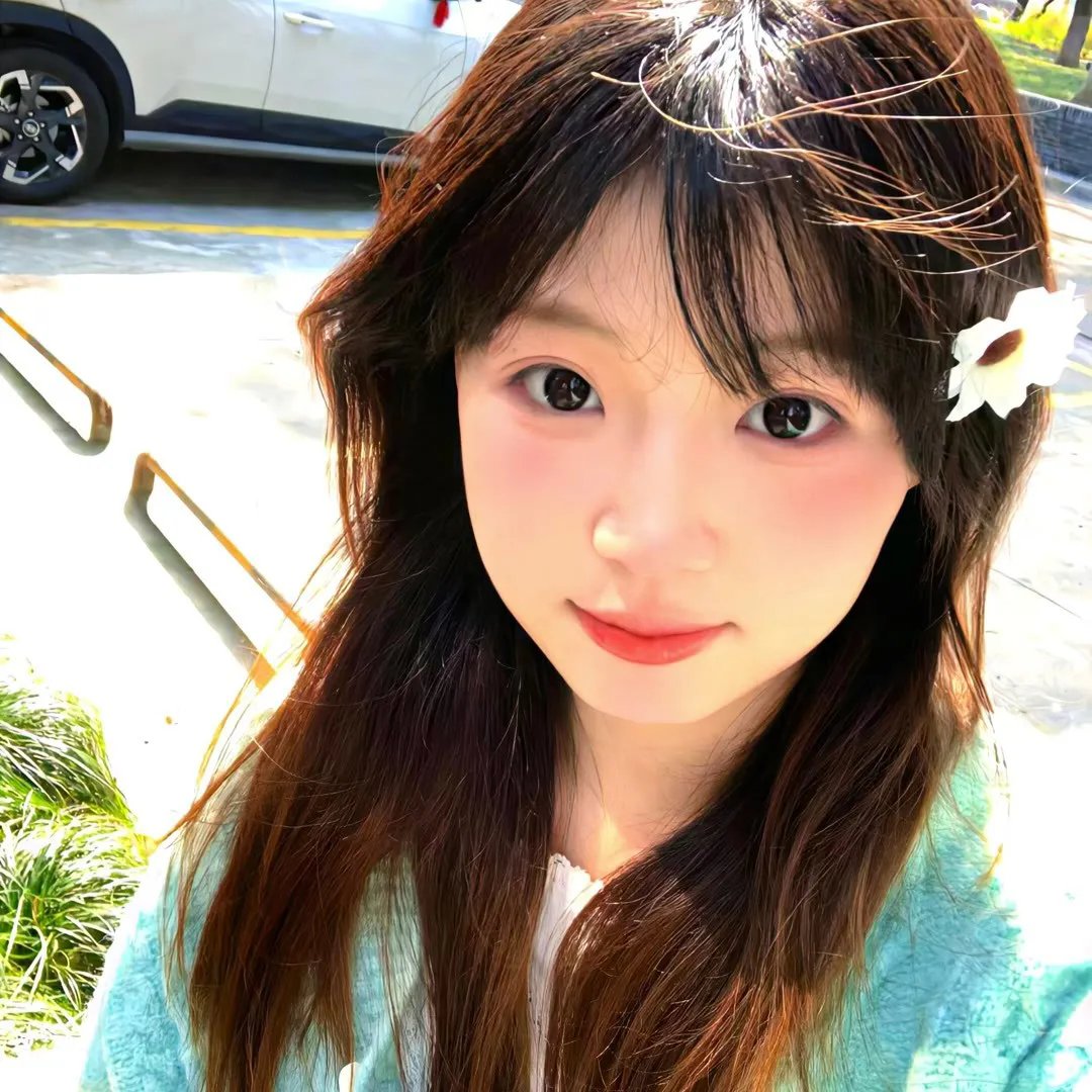 歌舞飞扬
